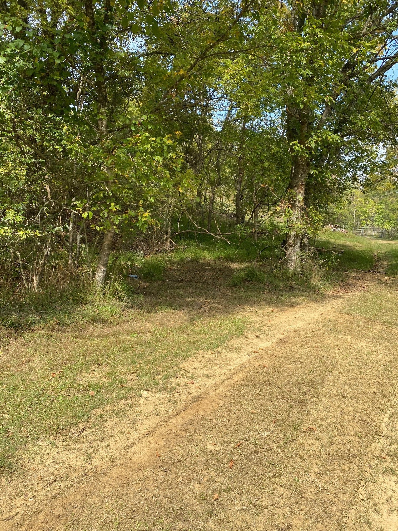 19 Turkey Creek Road Carthage, TN 37030 - Photo 12 of 14 Gallery Image 12