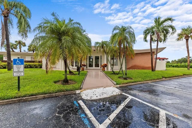 a view of a park with palm trees