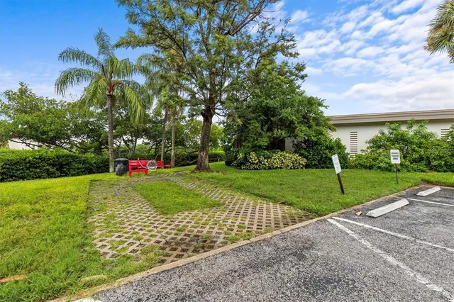 a view of a park with large trees