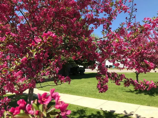 $305,000 | 1105 Nevada Street, Gooding, ID 83330