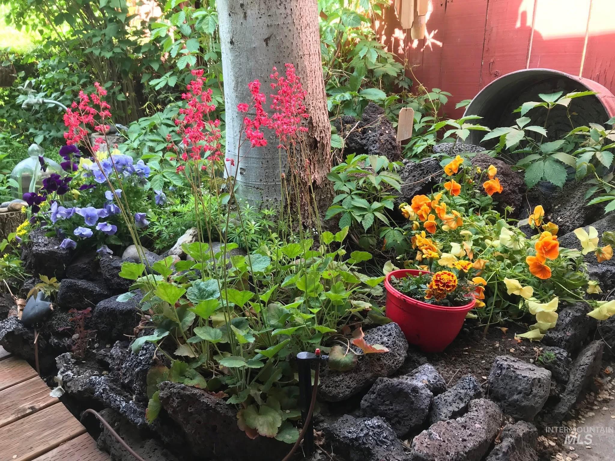 1105 Nevada Street Gooding, ID 83330 - Photo 6 of 26 Summer