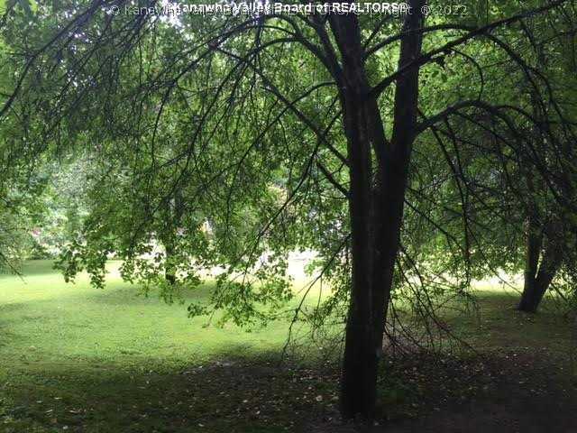683 Sandlick Road Seth, WV 25181 - Photo 4 of 4 Land.