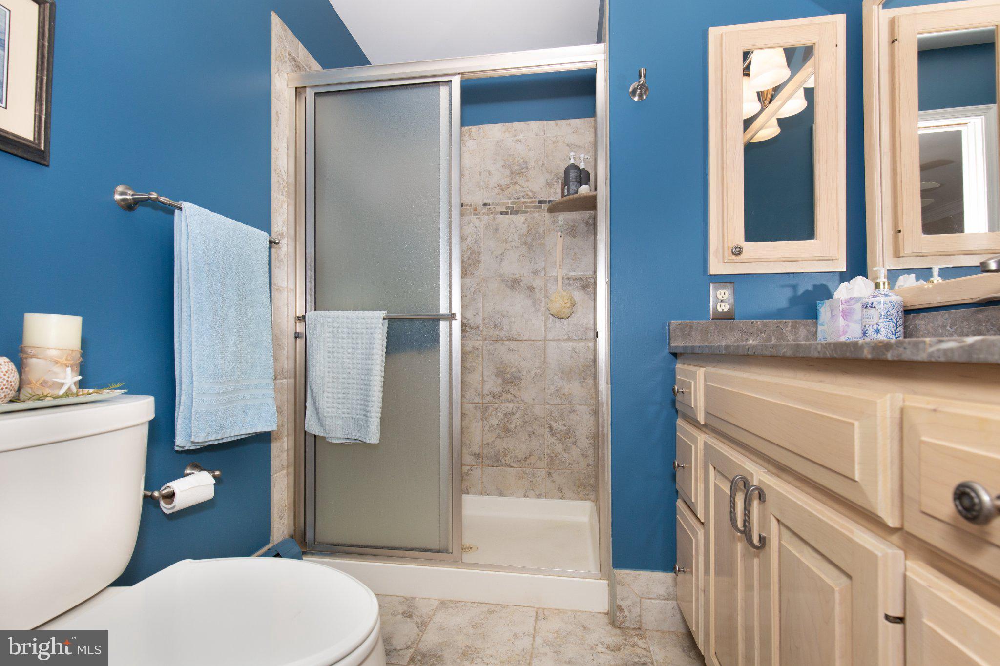 4818 Hoffmanville Road Manchester, MD 21102 - Photo 20 of 71 Remodeled Primary Bath