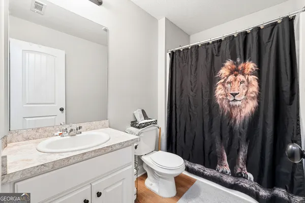 a bathroom with a sink toilet and vanity