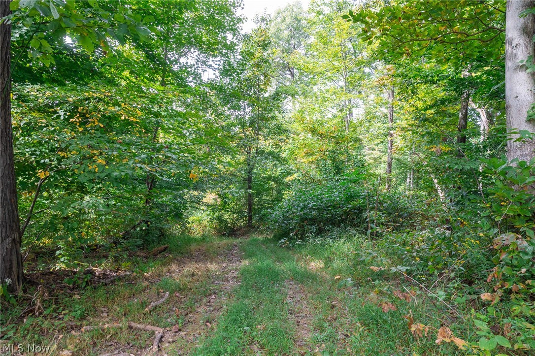Lew Marten Road Summerfield, OH 43788 - Photo 45 of 50 Gallery Image 45