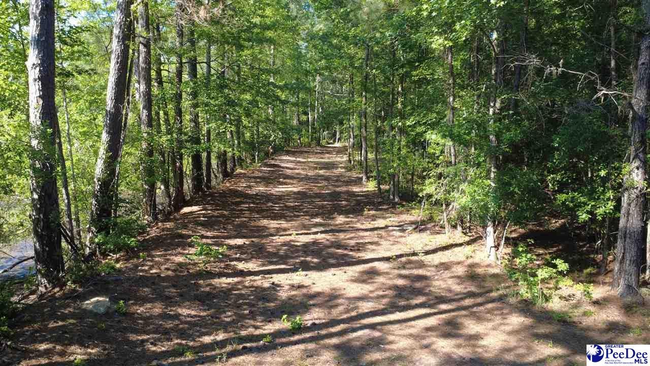 Tbd North Tbd N Bethel Road Scranton, SC 29591 - Photo 26 of 28 Gallery Image 26
