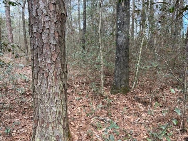 0 Adams Pond Road Opp, AL 36467 - Photo 13 of 19 Gallery Image 13