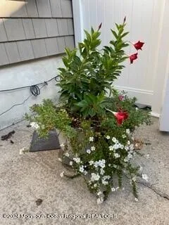 a flower view in front of a house