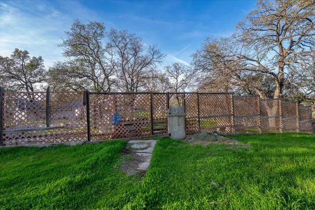 a view of a park with large trees