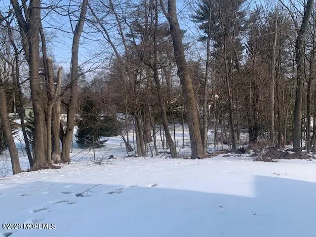 $459,000 | 49 Court Street, Freehold, NJ 07728