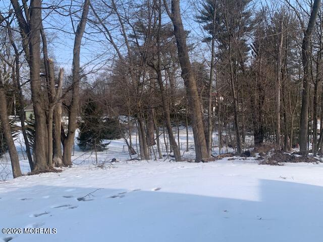 49 Court Street Freehold, NJ 07728 - Photo 5 of 7 a view of outdoor space with trees