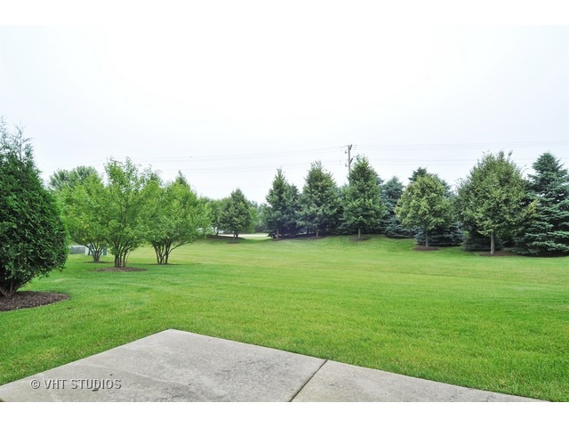 15110 Laurel Lane Lockport, IL 60441 - Photo 10 of 10