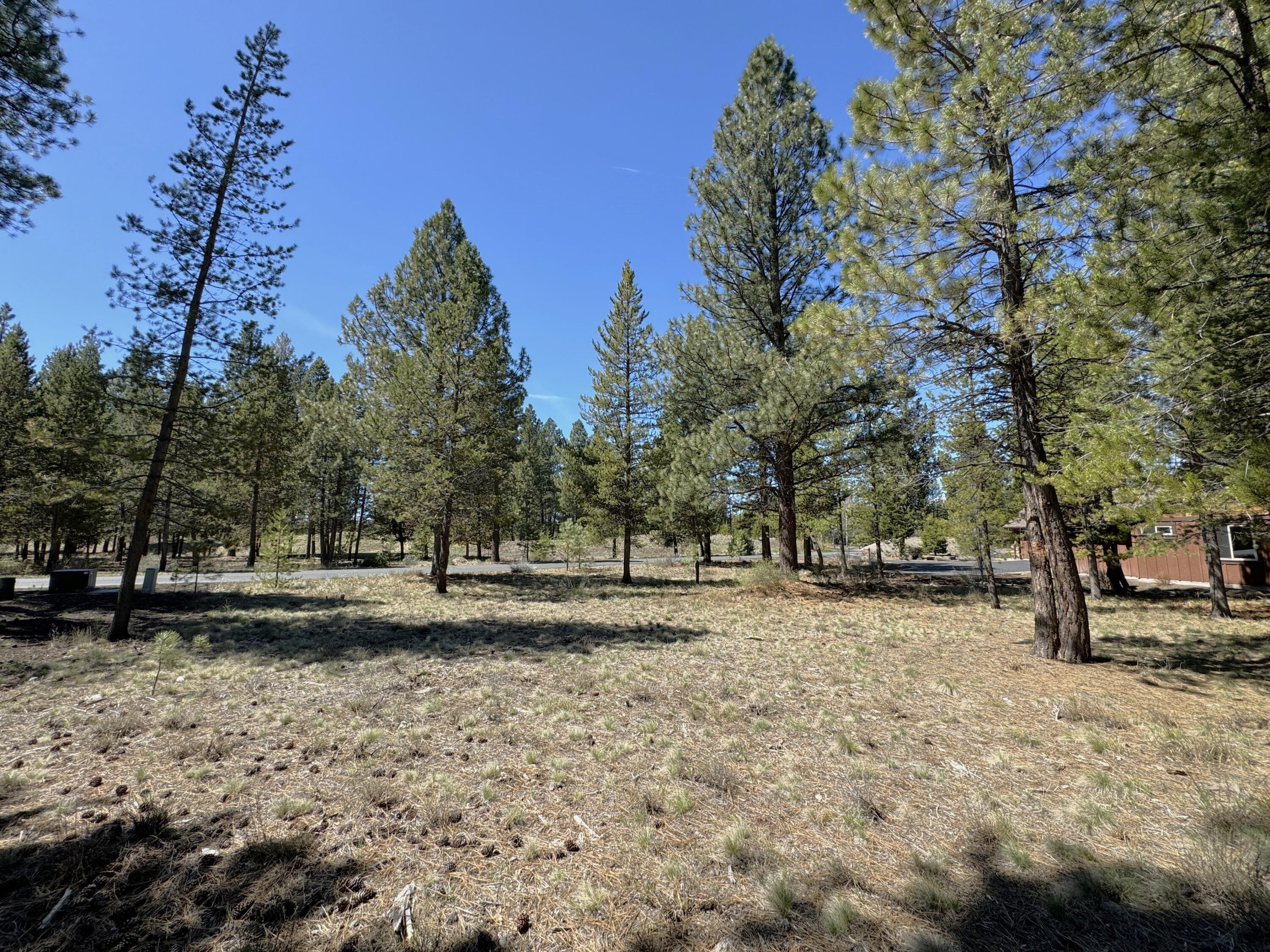 56290 Sable Rock Loop, Unit 257 Bend, OR 97707 - Photo 10 of 22 View of front half of homesite