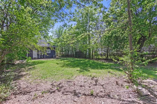 a view of a yard with plants and trees