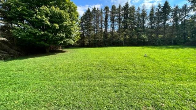 154 Letherman Bridge Road Scenery Hill, PA 15360 - Photo 3 of 19 Gallery Image 3