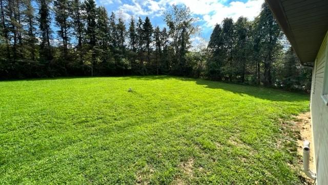 154 Letherman Bridge Road Scenery Hill, PA 15360 - Photo 4 of 19 Gallery Image 4