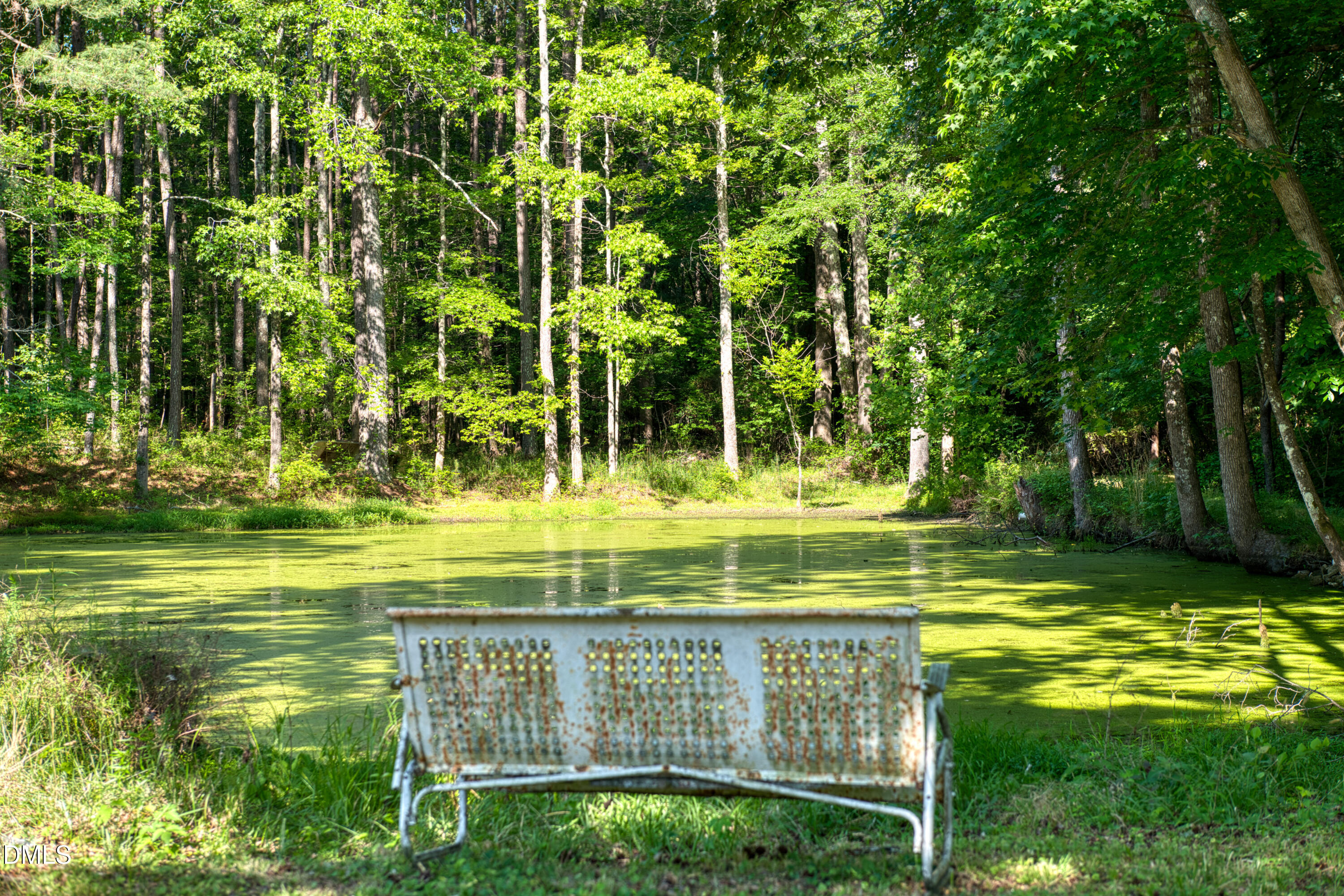 50 Robert Sledge Road Spring Hope, NC 27882 - Photo 37 of 50 a view of swimming pool with a garden and trees