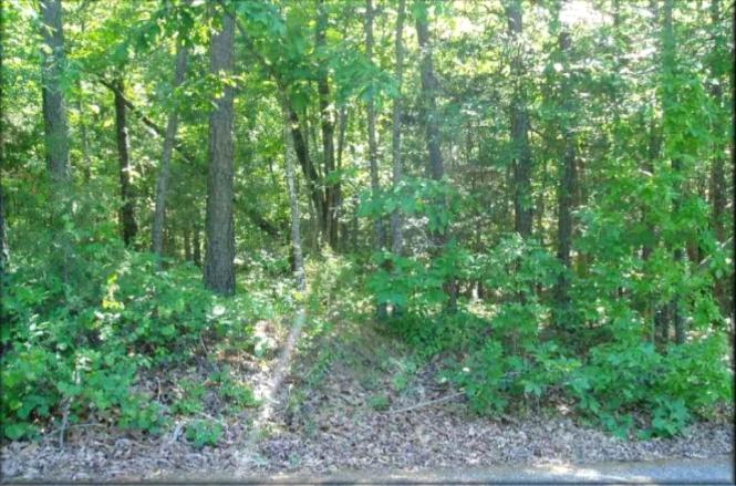 Lot 9 Kelly Road Carthage, NC 28327 - Photo 1 of 1 Warriors Ridge Lot 9