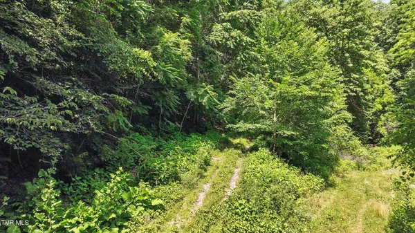 $115,000 | Tbd Tbd Rushing Road, Castlewood, VA 24224