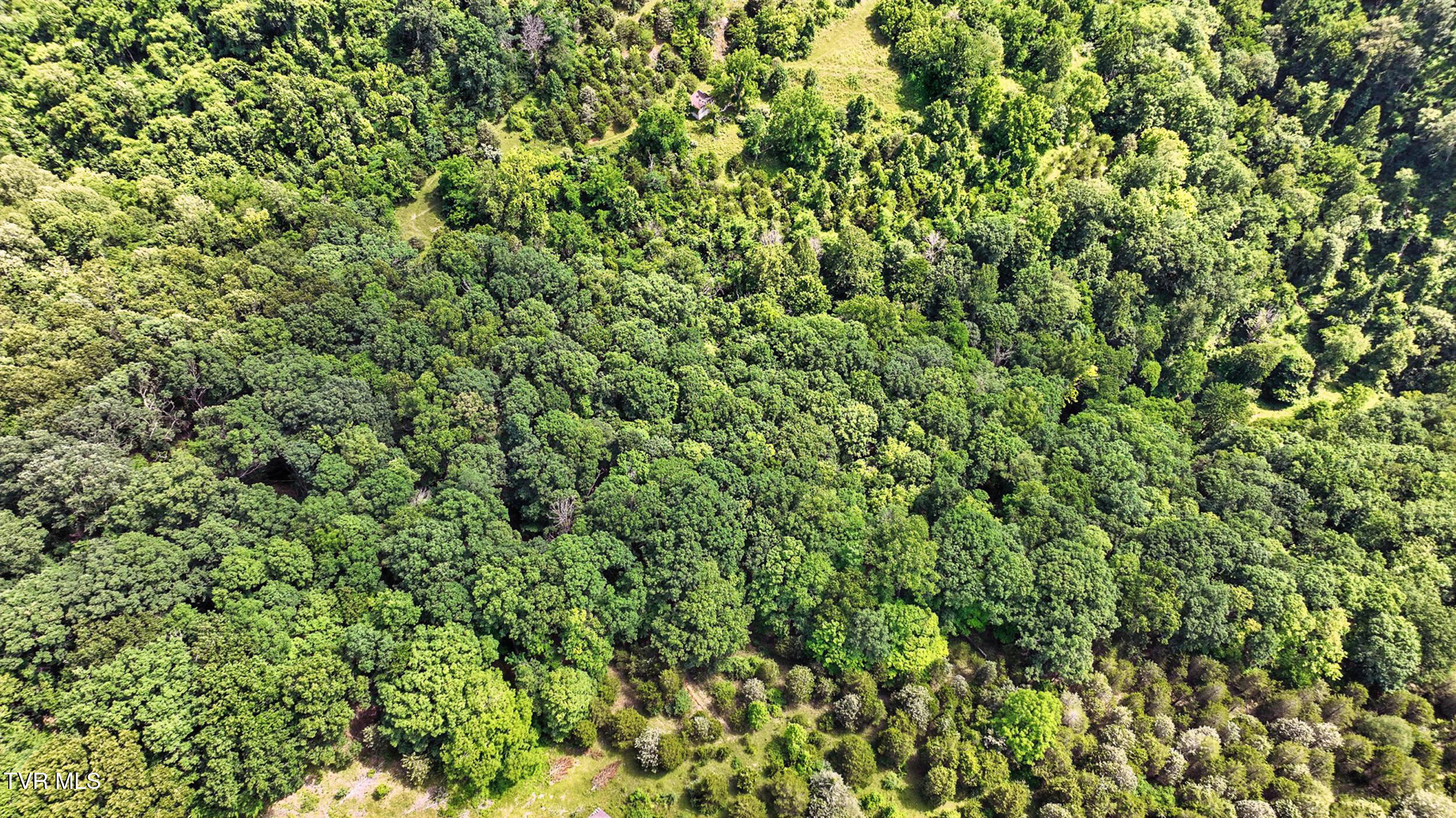 Tbd Tbd Rushing Road Castlewood, VA 24224 - Photo 4 of 13 dji_0325
