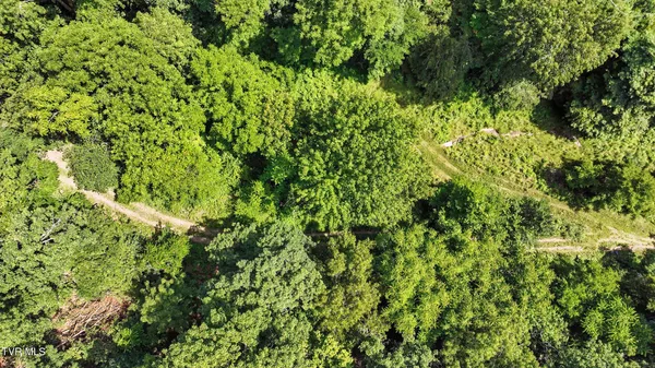 $115,000 | Tbd Tbd Rushing Road, Castlewood, VA 24224