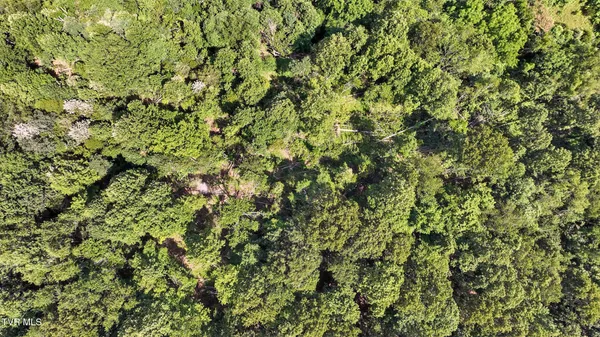 $115,000 | Tbd Tbd Rushing Road, Castlewood, VA 24224