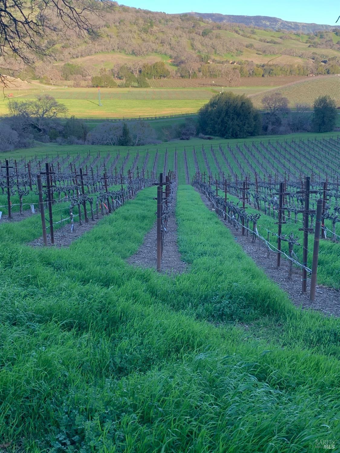 4060 Monticello Road Napa, CA 94558 - Photo 9 of 54