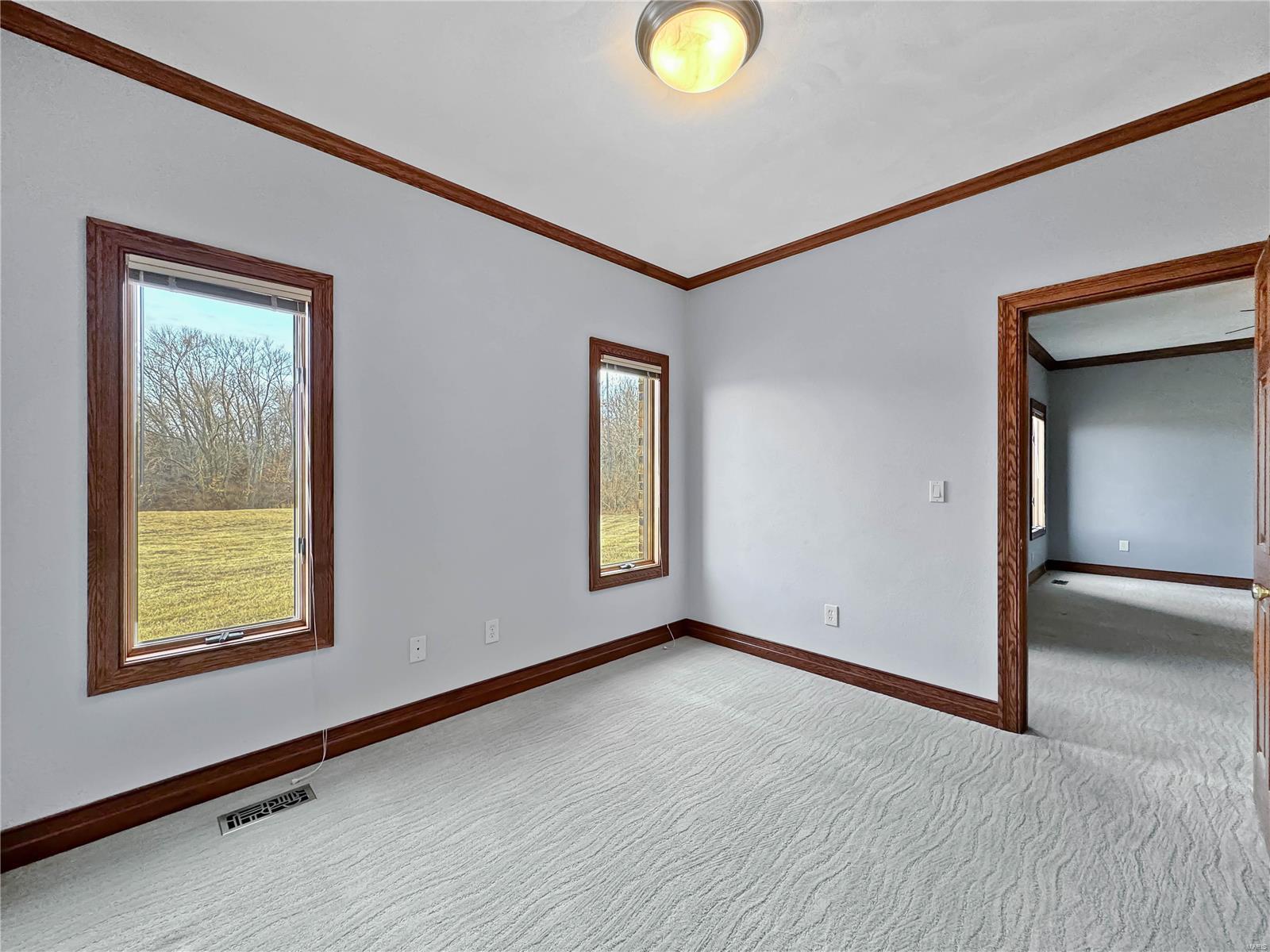 3849 Lower Saxtown Road Waterloo, IL 62298 - Photo 35 of 77