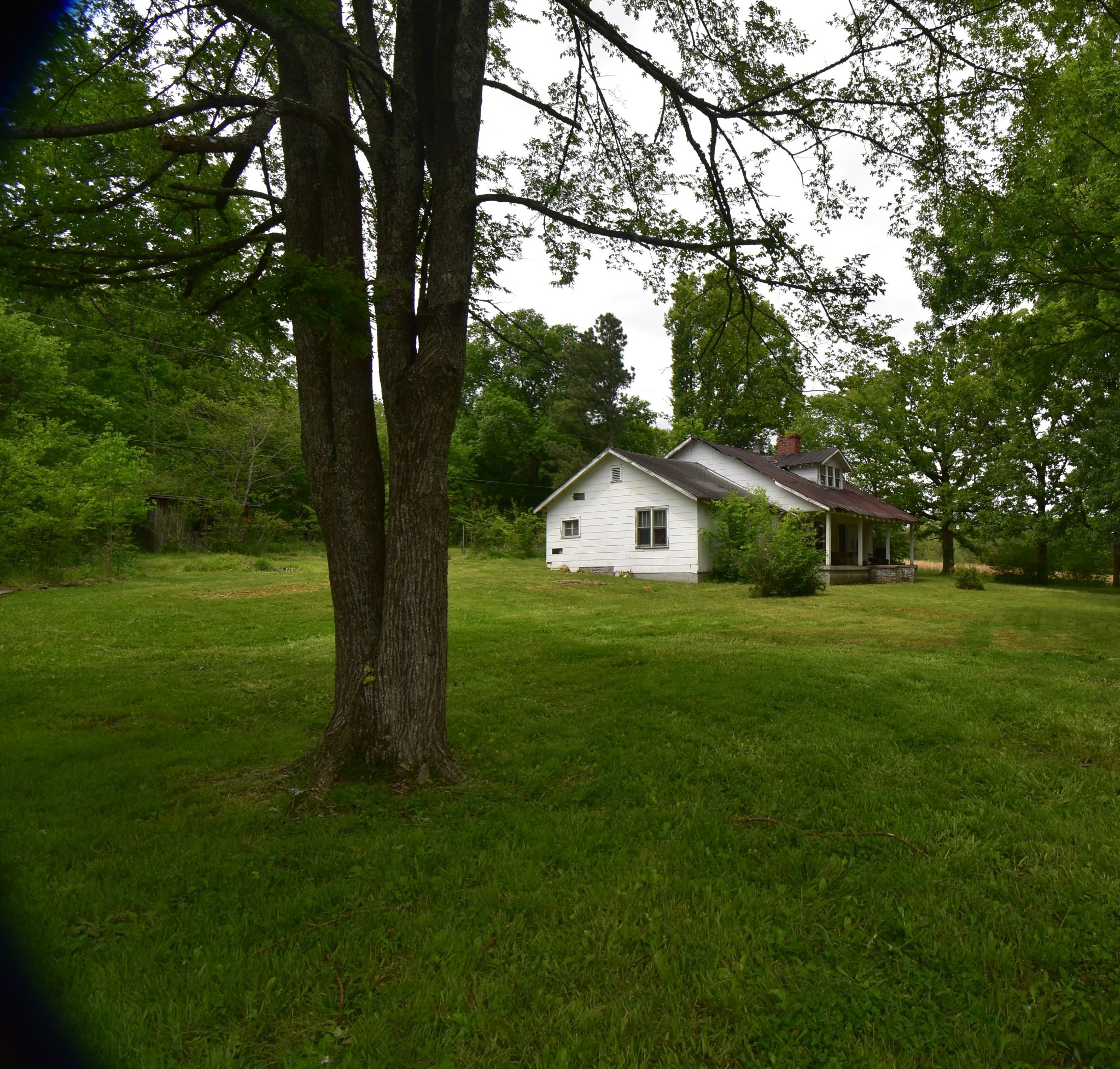 244 Nokes Road Lebanon, TN 37090 - Photo 5 of 10