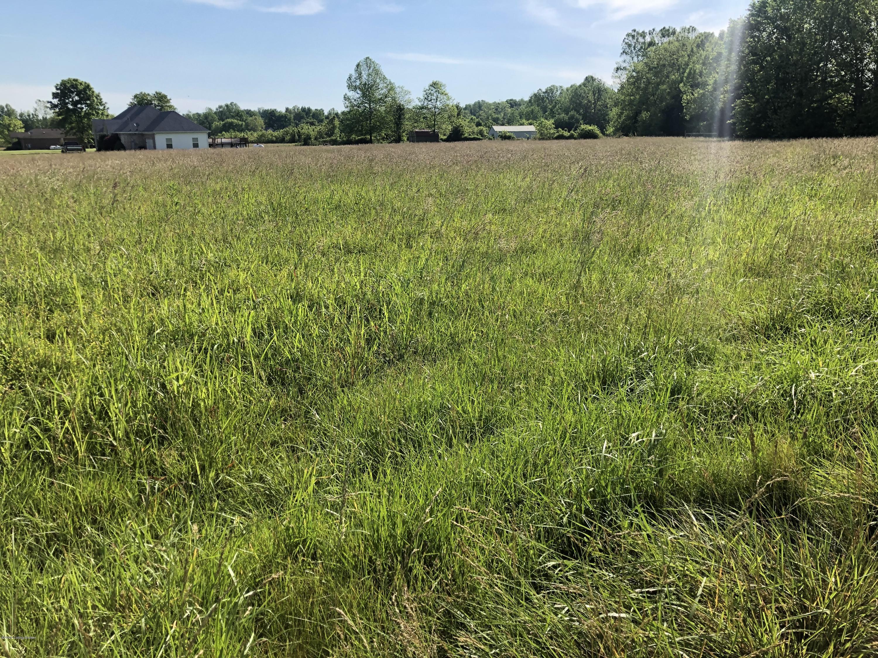 7 Beech Grv Road Shepherdsville, KY 40165 - Photo 4 of 5 beech grove 4
