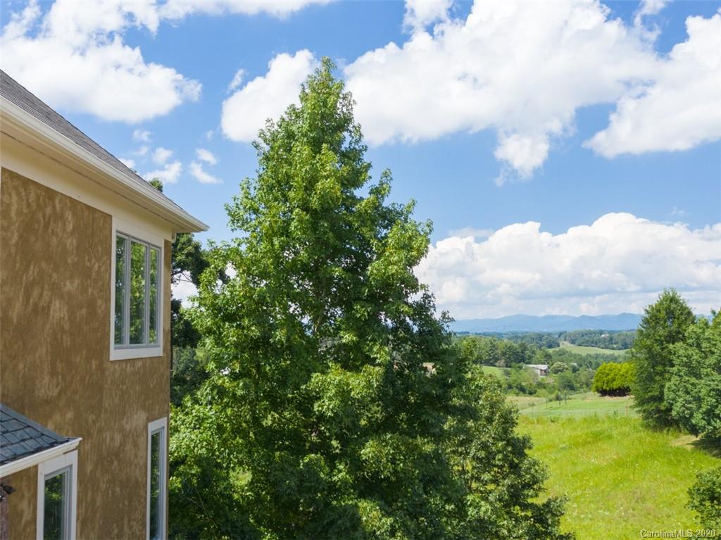 207 Monticello Road Weaverville, NC 28787 - Photo 7 of 48 Gallery Image 7