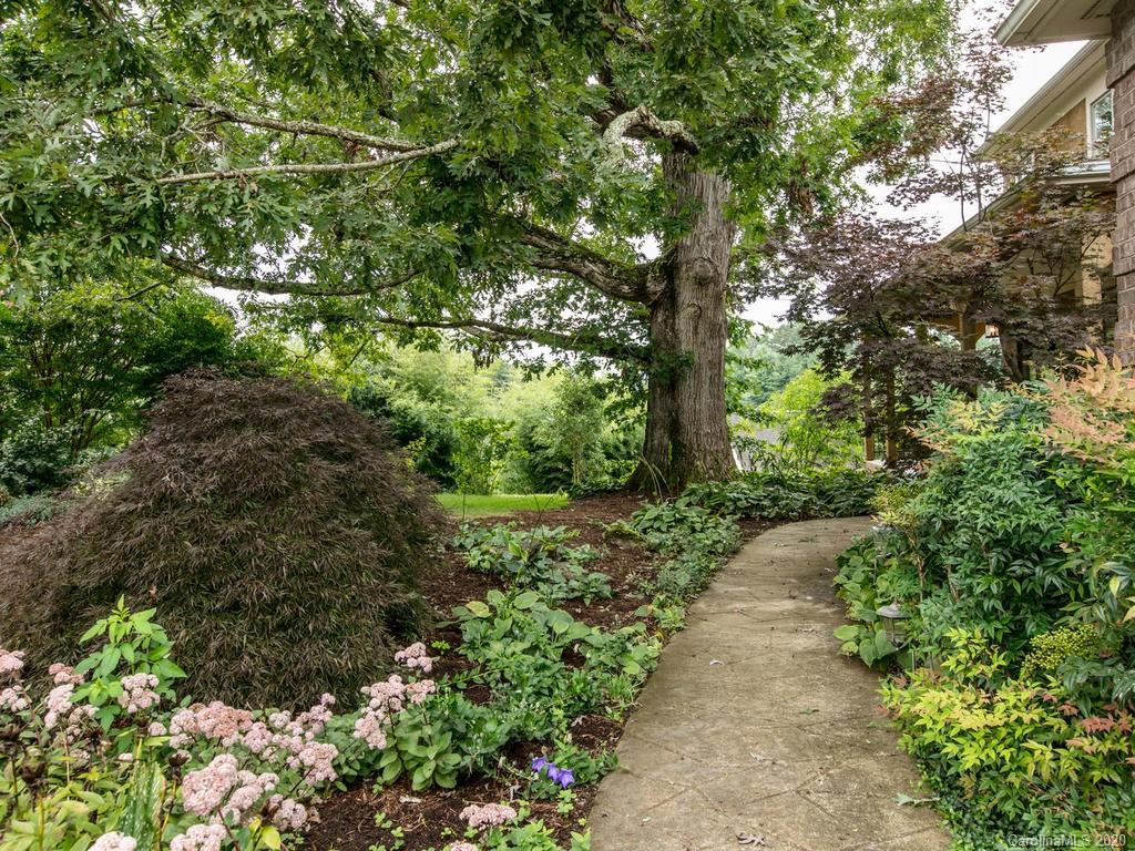 207 Monticello Road Weaverville, NC 28787 - Photo 8 of 48 Gallery Image 8