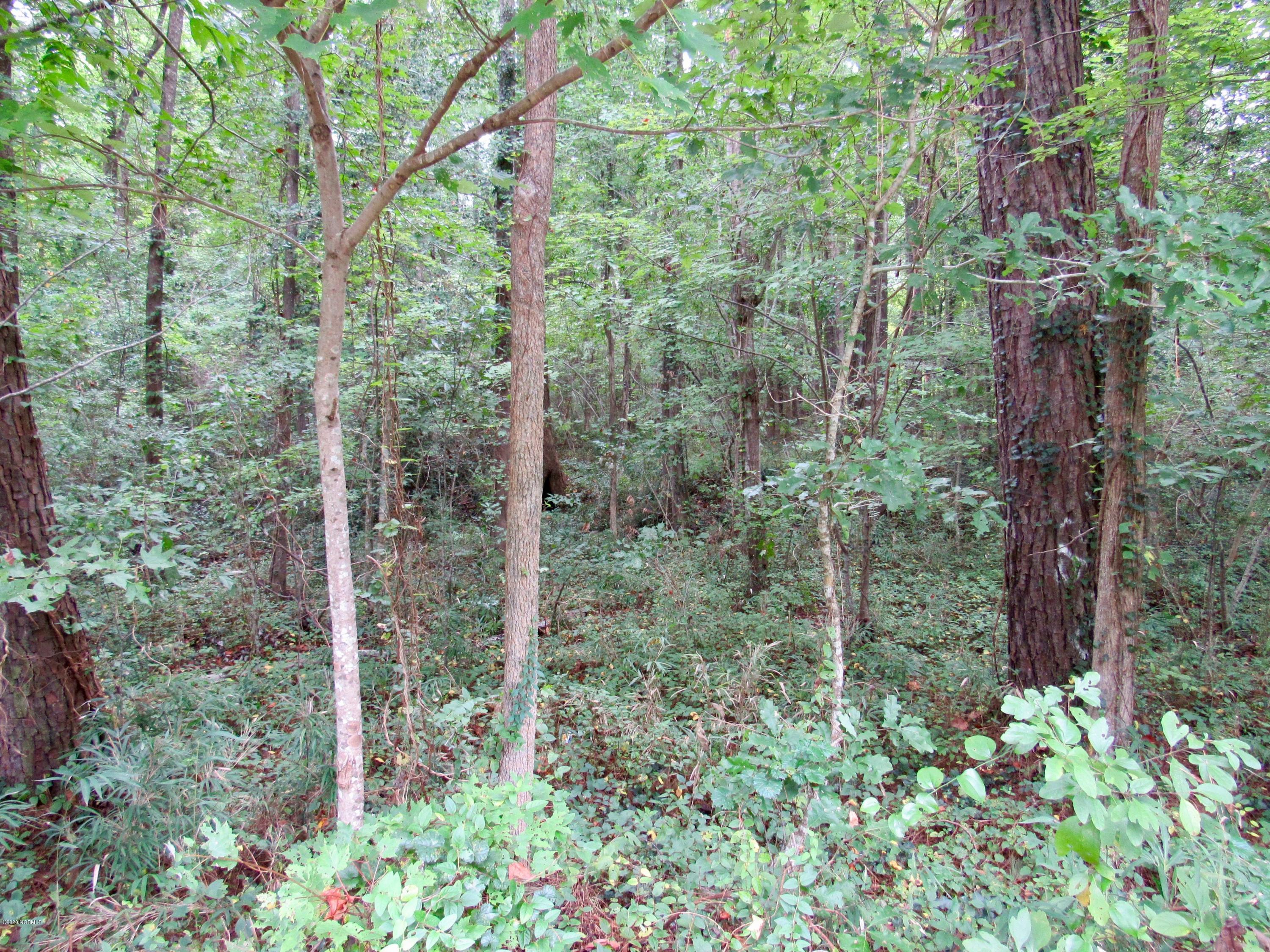 0 Old Cherry Point Road New Bern, NC 28560 - Photo 16 of 18 Highway 70