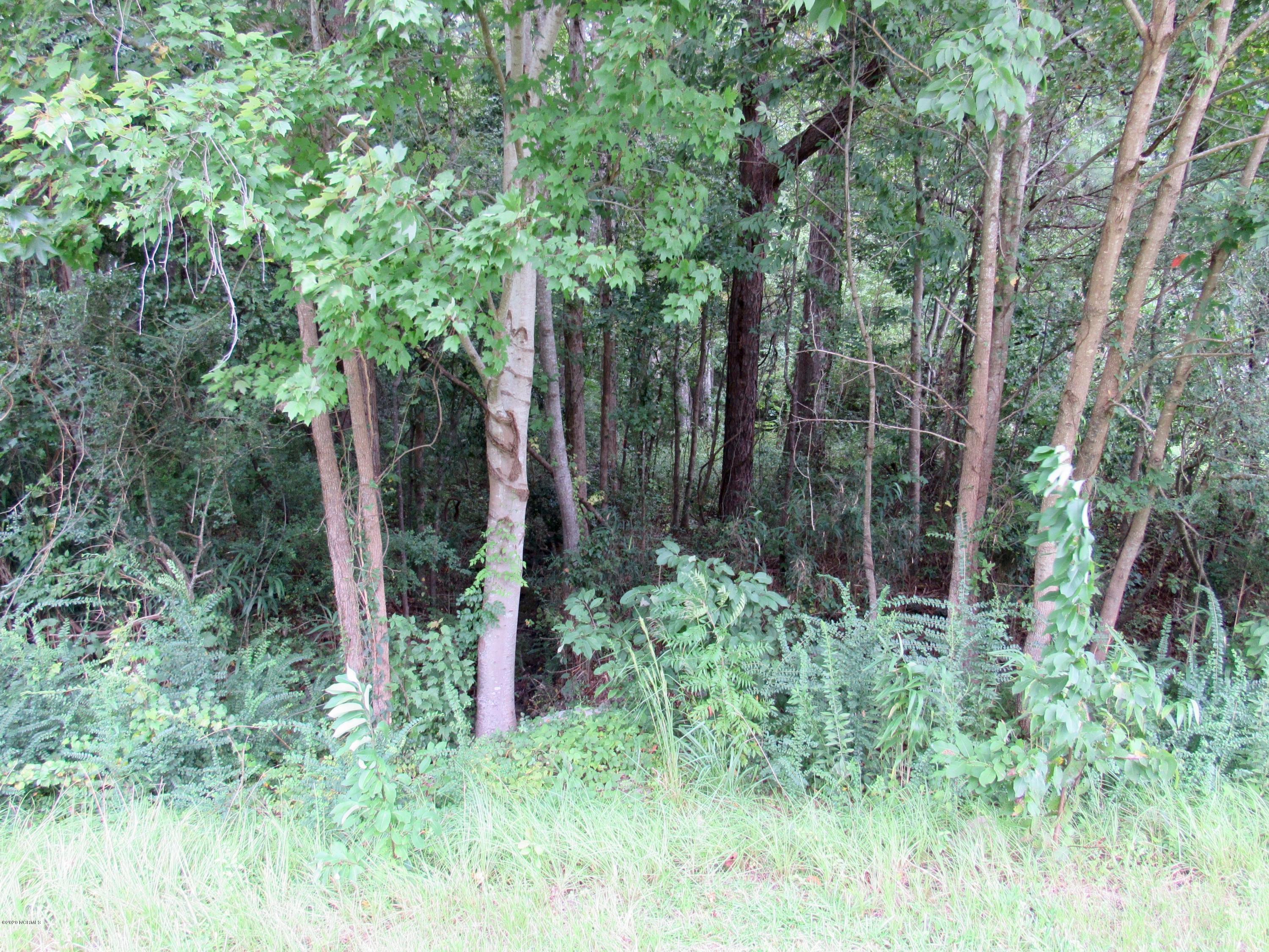0 Old Cherry Point Road New Bern, NC 28560 - Photo 2 of 18 Highway 70