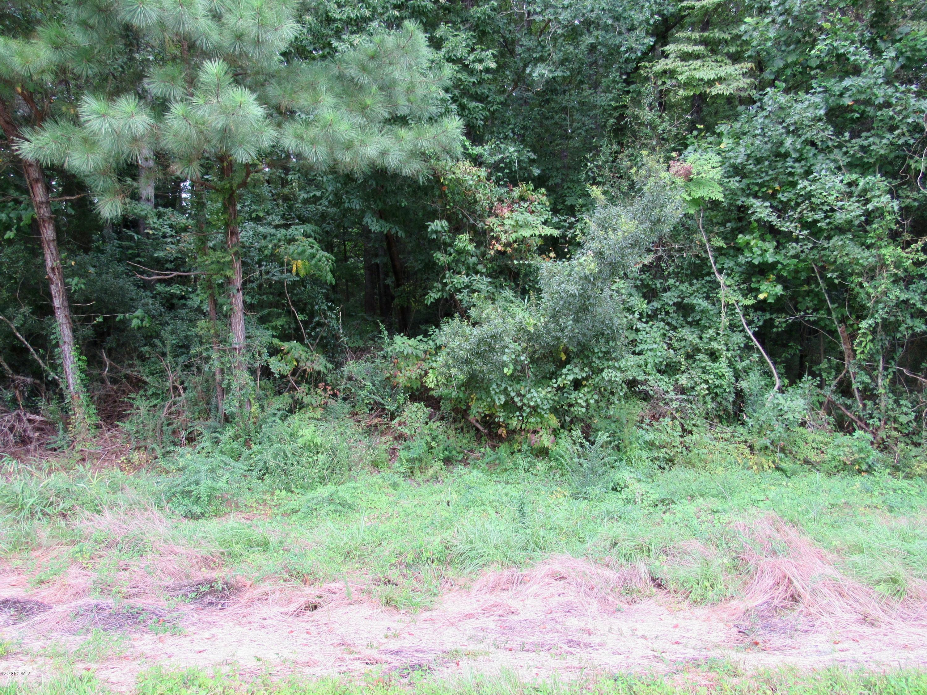 0 Old Cherry Point Road New Bern, NC 28560 - Photo 8 of 18 Highway 70