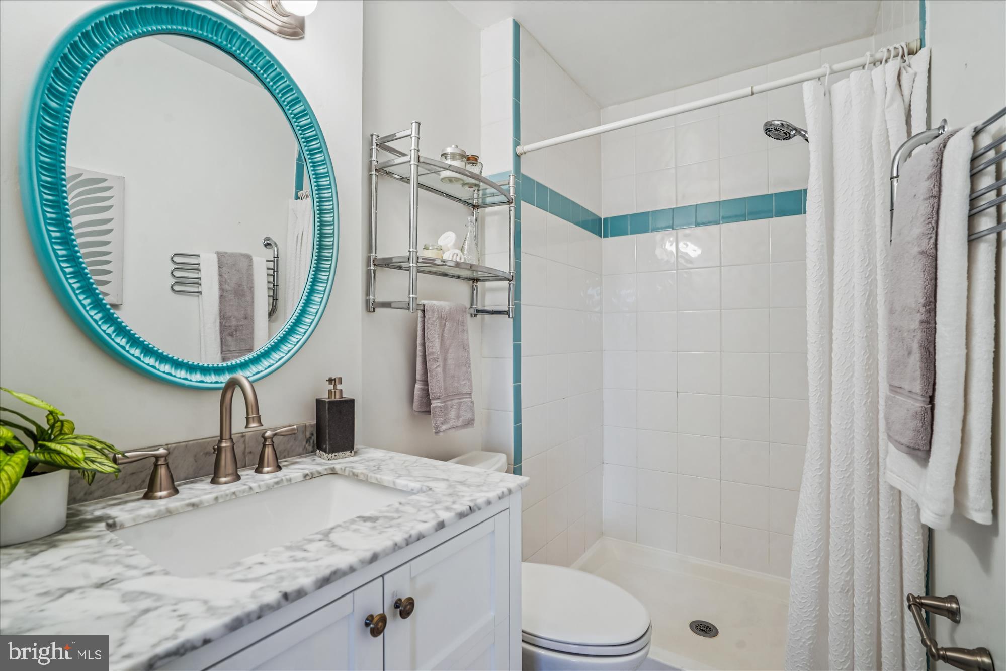 24 South Abingdon Street Arlington, VA 22204 - Photo 23 of 66 a bathroom with a granite countertop sink a mirror and a shower