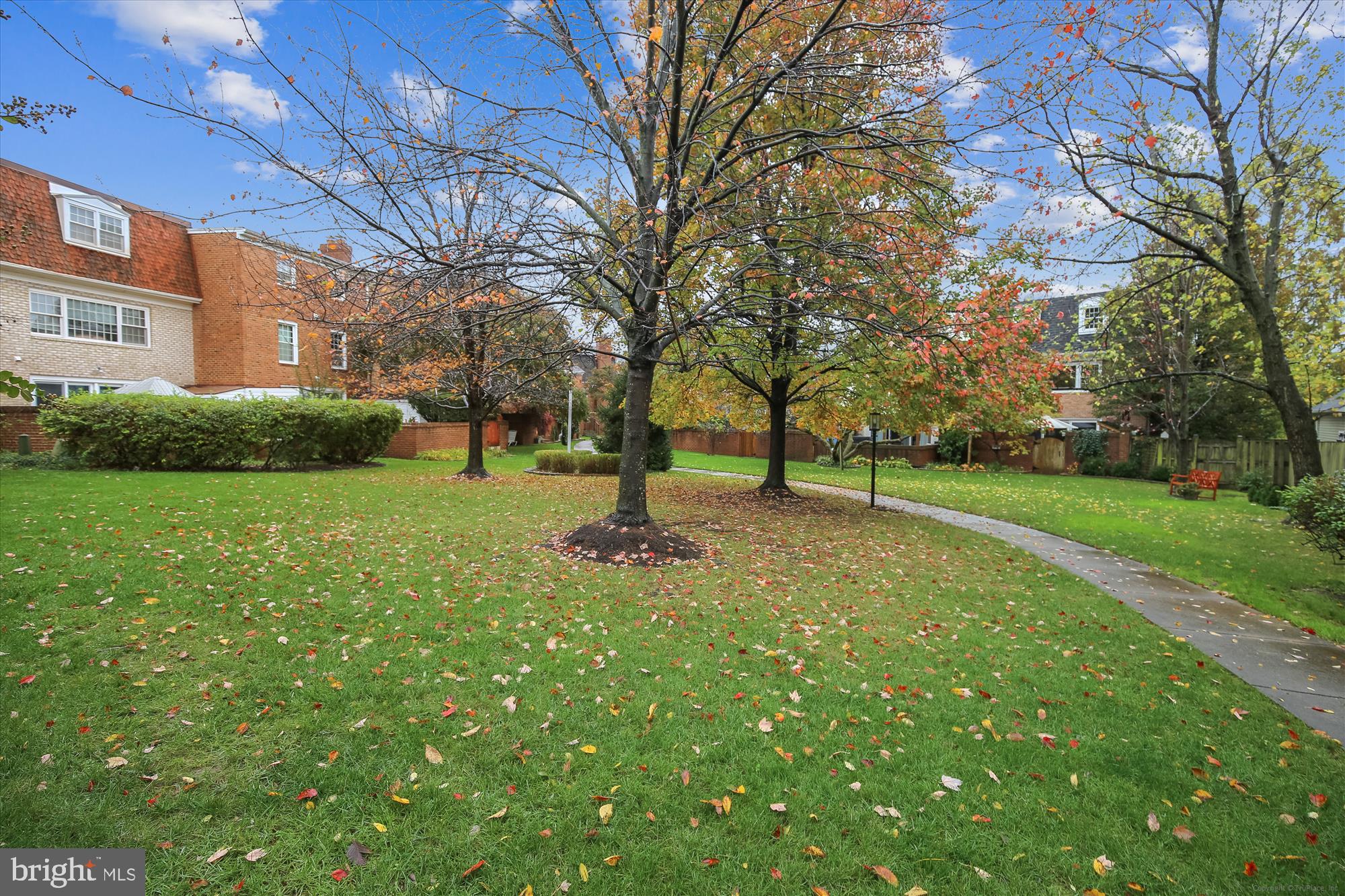 24 South Abingdon Street Arlington, VA 22204 - Photo 58 of 66 a view of a park with large trees