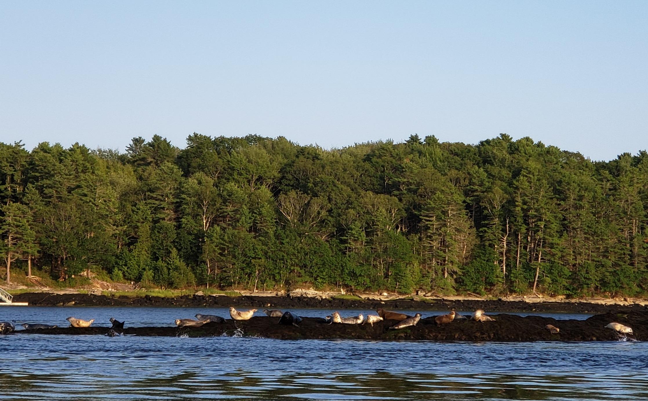 94 Cold Spring Farm Road Phippsburg, ME 04562 - Photo 45 of 49 27