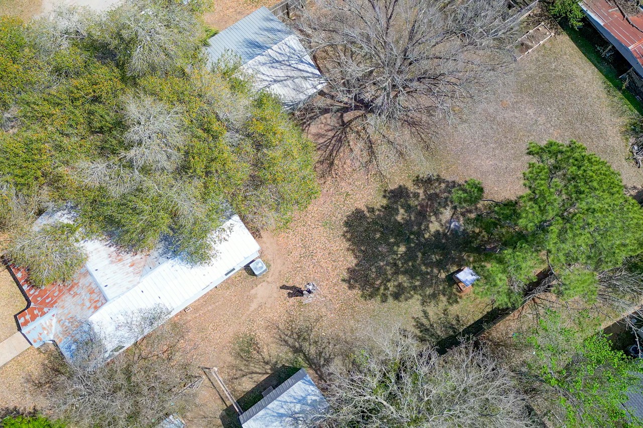 609 Dickson Street Lexington, TX 78947 - Photo 36 of 36 a view of plant in middle of the green field
