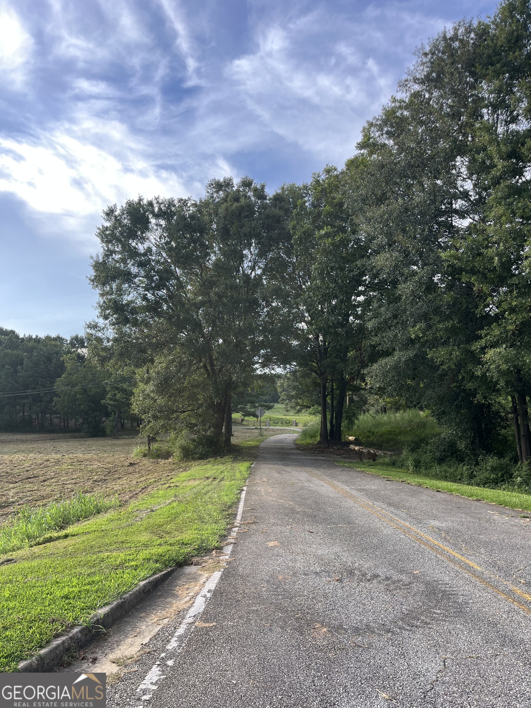 0 2nd Avenue East Colbert, GA 30628 - Photo 4 of 23 a view of a yard with a tree