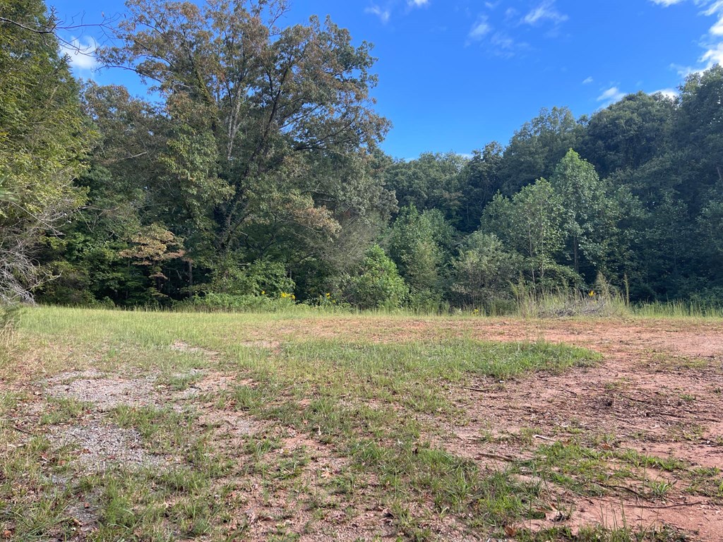 0 Ash Loop Road Blue Ridge, GA 30513 - Photo 2 of 11