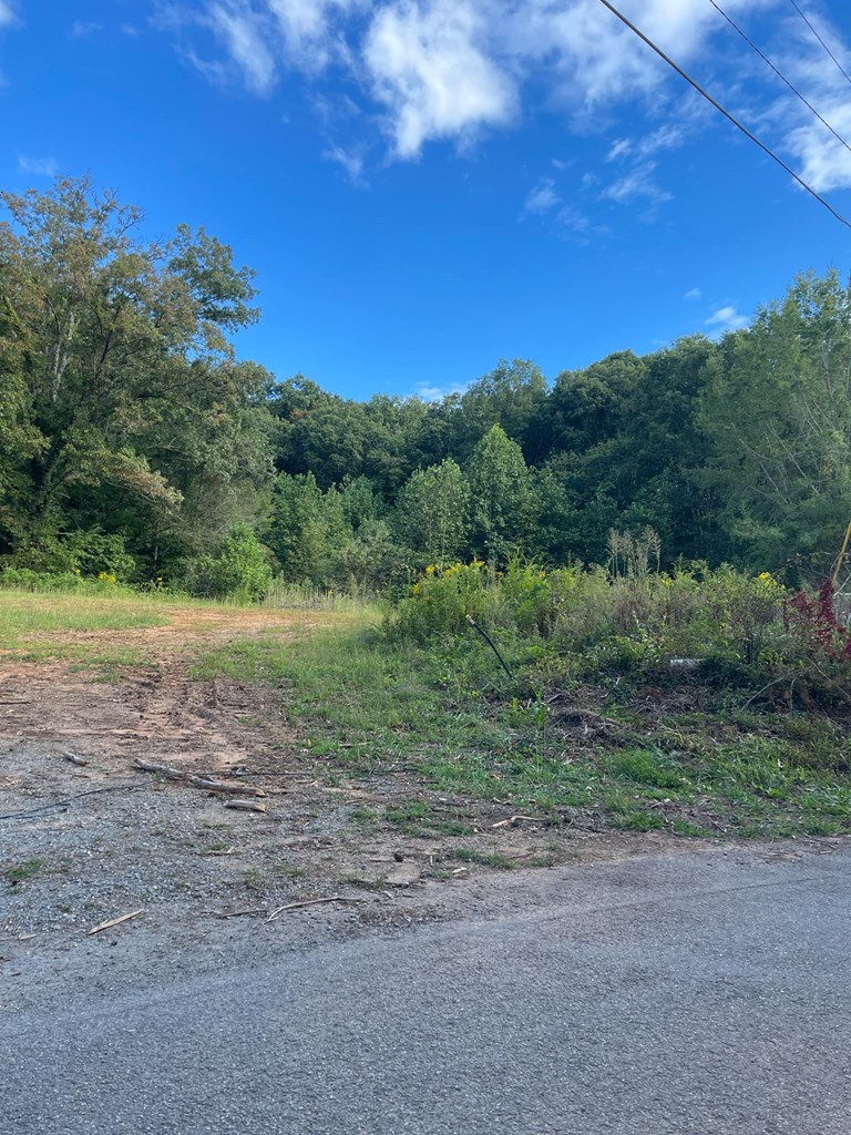 0 Ash Loop Road Blue Ridge, GA 30513 - Photo 3 of 11