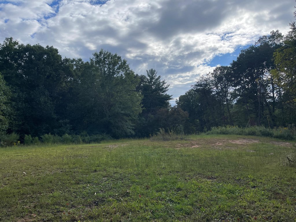 0 Ash Loop Road Blue Ridge, GA 30513 - Photo 4 of 11