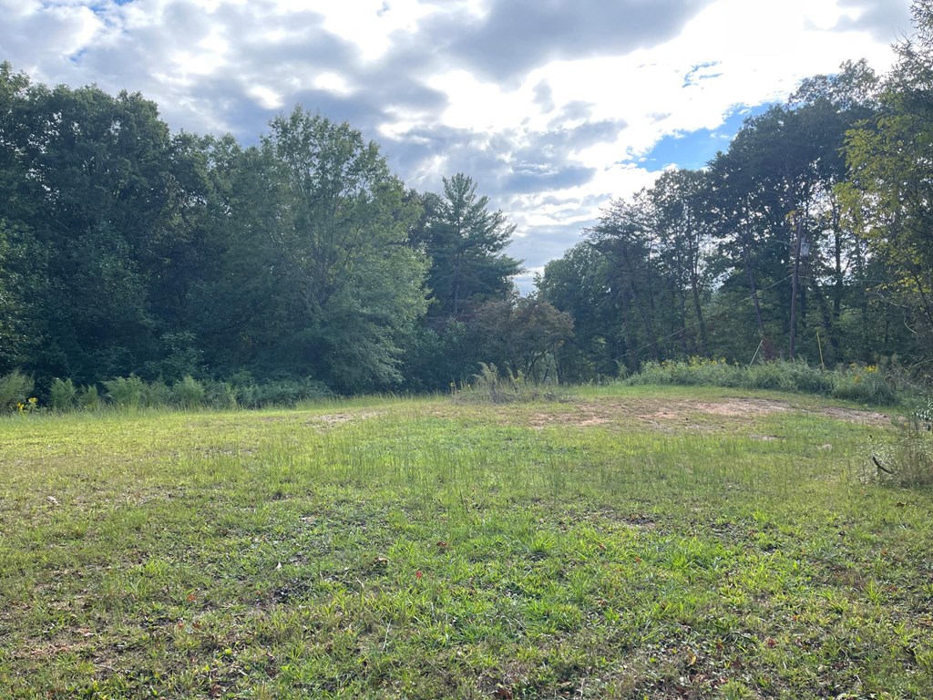 0 Ash Loop Road Blue Ridge, GA 30513 - Photo 5 of 11