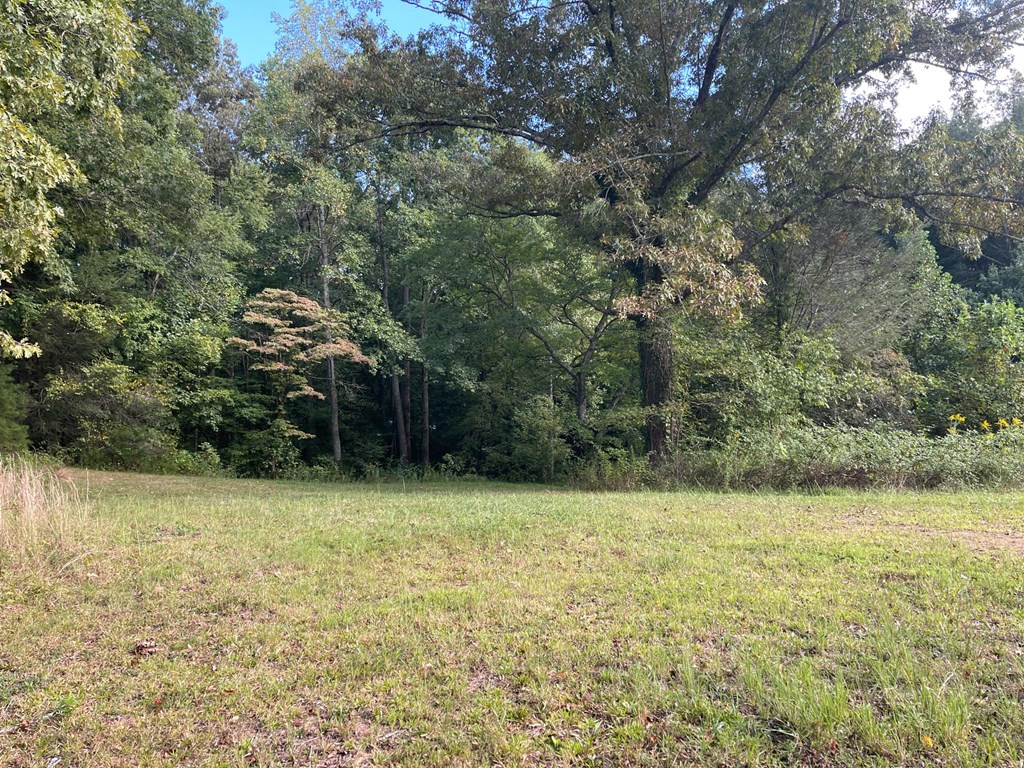 0 Ash Loop Road Blue Ridge, GA 30513 - Photo 7 of 11