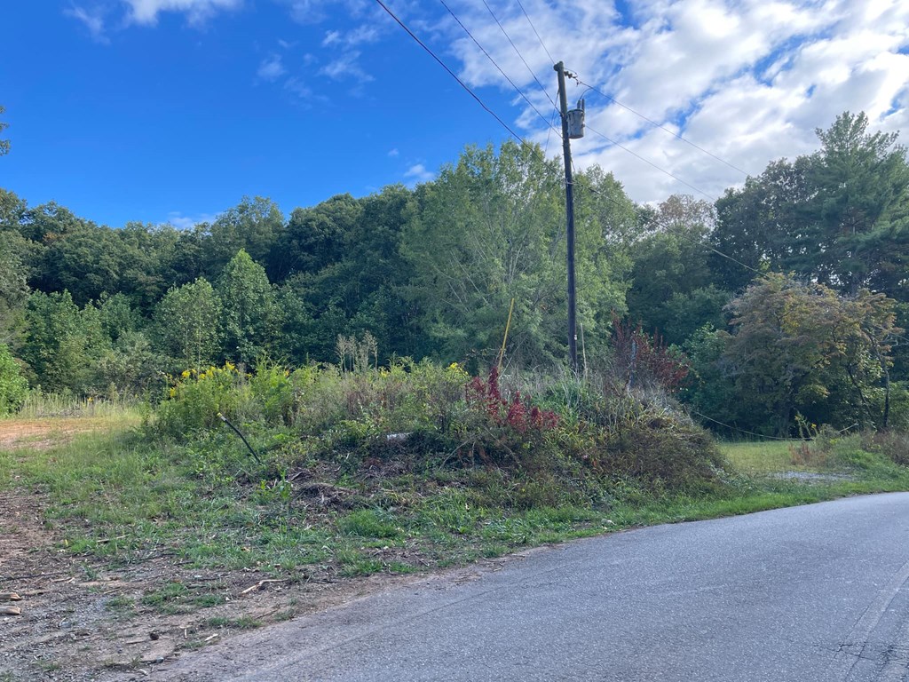 0 Ash Loop Road Blue Ridge, GA 30513 - Photo 8 of 11