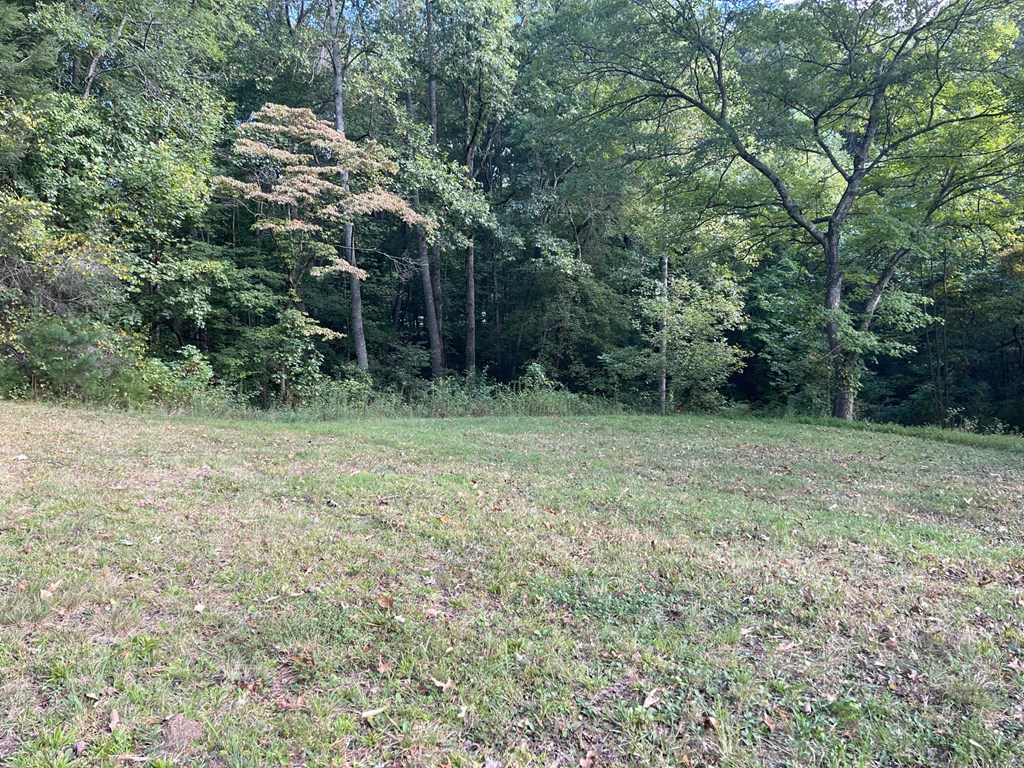 0 Ash Loop Road Blue Ridge, GA 30513 - Photo 9 of 11