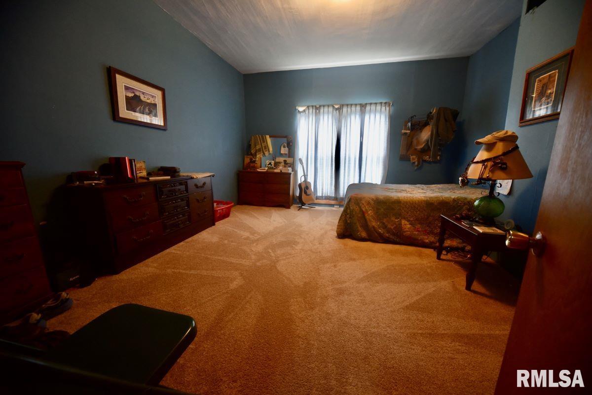 755 Mt Pleasant Road Buncombe, IL 62912 - Photo 13 of 40