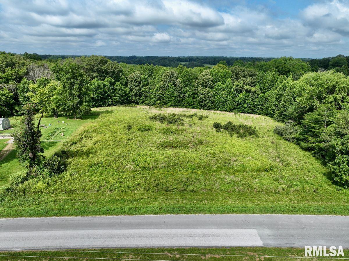 755 Mt Pleasant Road Buncombe, IL 62912 - Photo 25 of 40