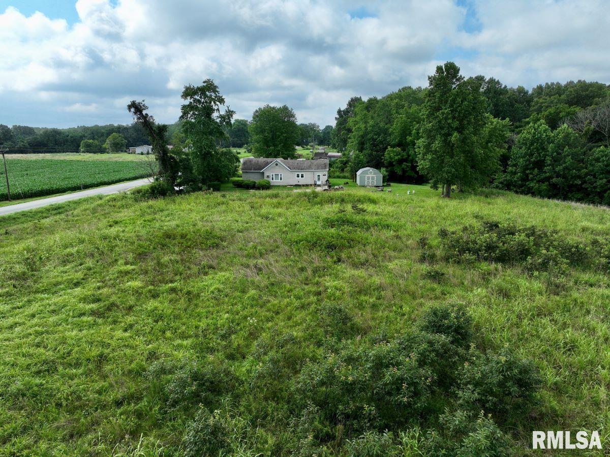 755 Mt Pleasant Road Buncombe, IL 62912 - Photo 26 of 40
